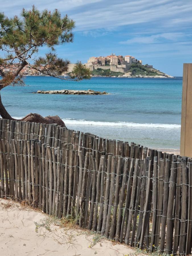 T2 Calvi Entierement équipé à 150m De La Plage. Appartamento *